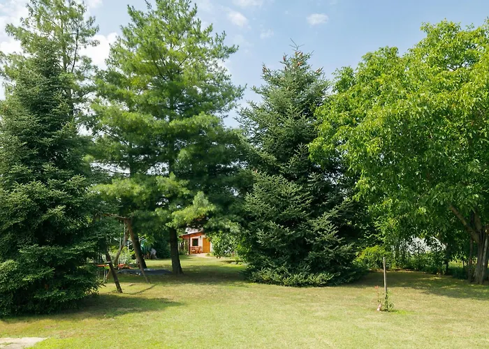 Holiday home Magnolia By Interhome Latrany